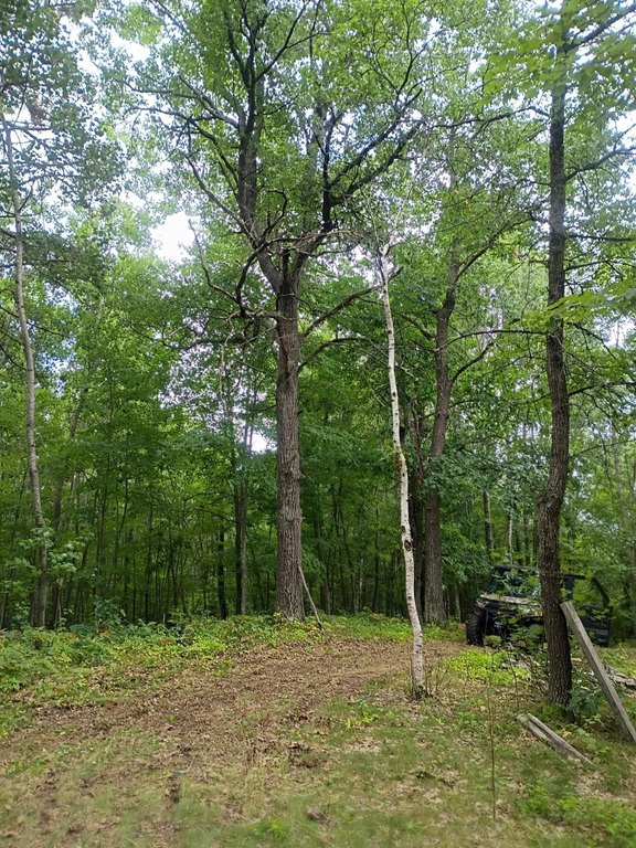 Picture 26