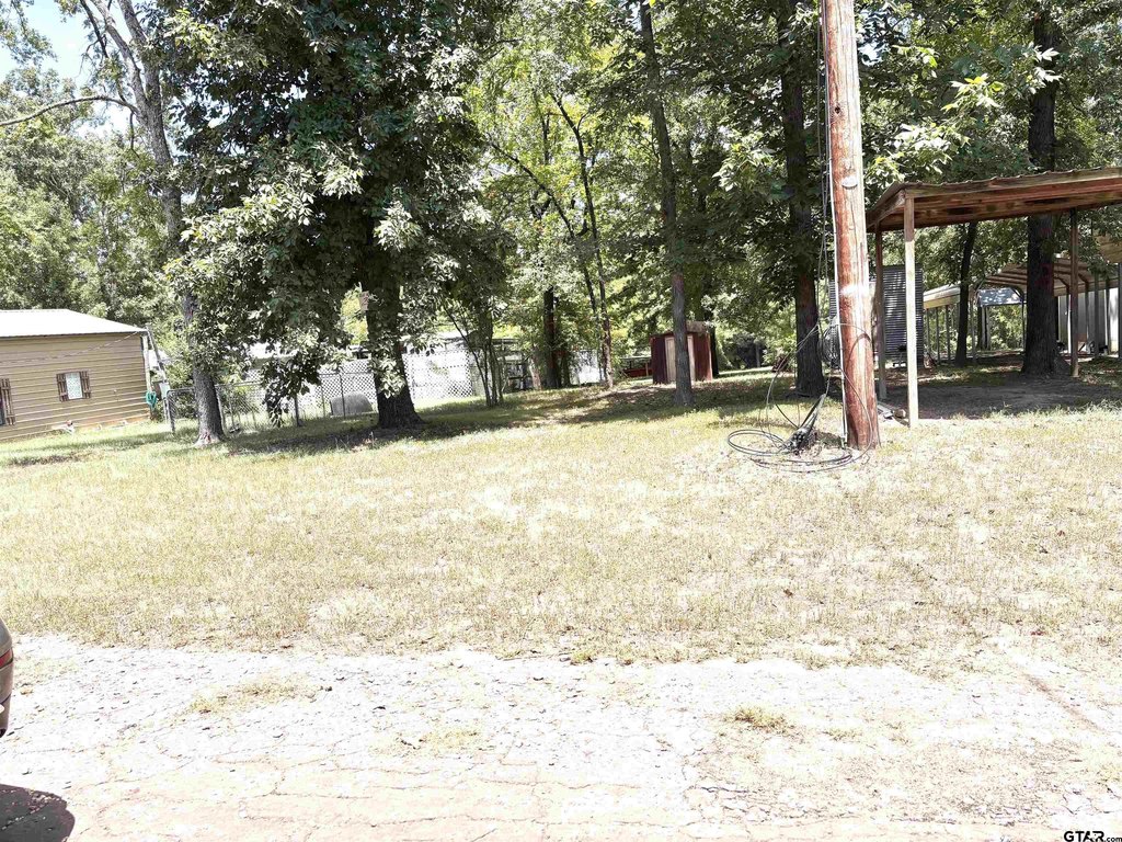 Picture 3