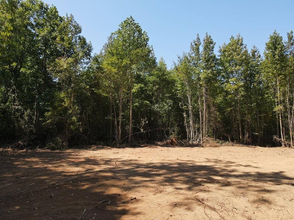 Louisburg Timberland with Stream