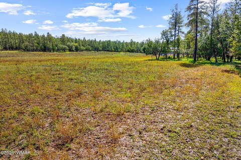 Land, Lakeside, AZ