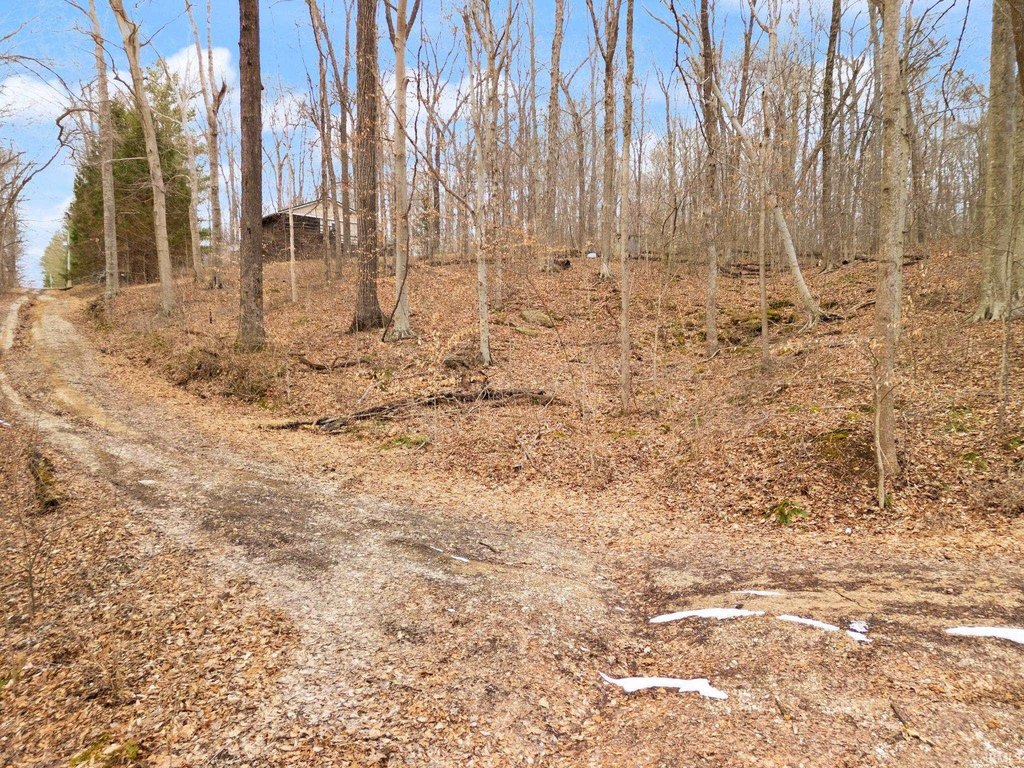 Picture 3