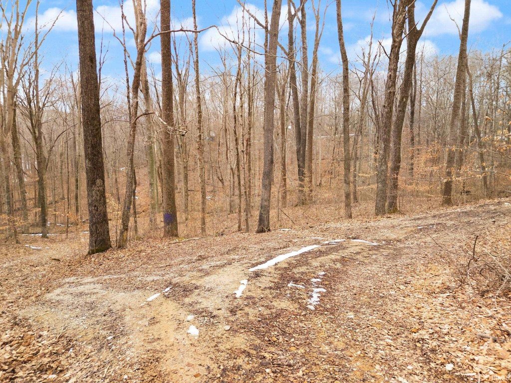 Picture 5