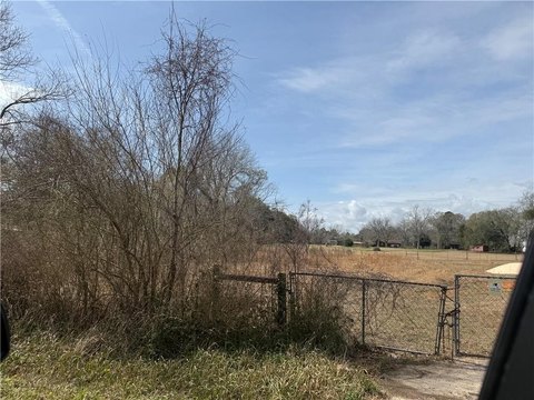 LAND - Irvington, AL