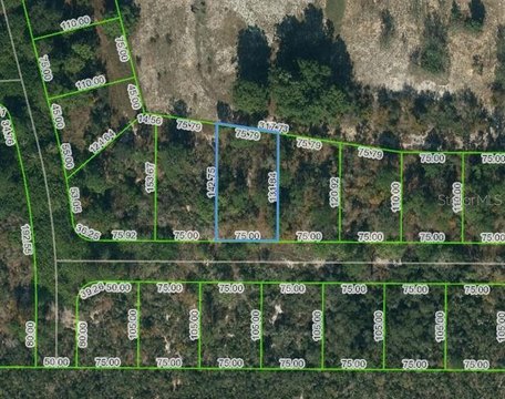 Residential Land in Lake Placid