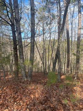 Vacant Land, Fairfield Bay, AR