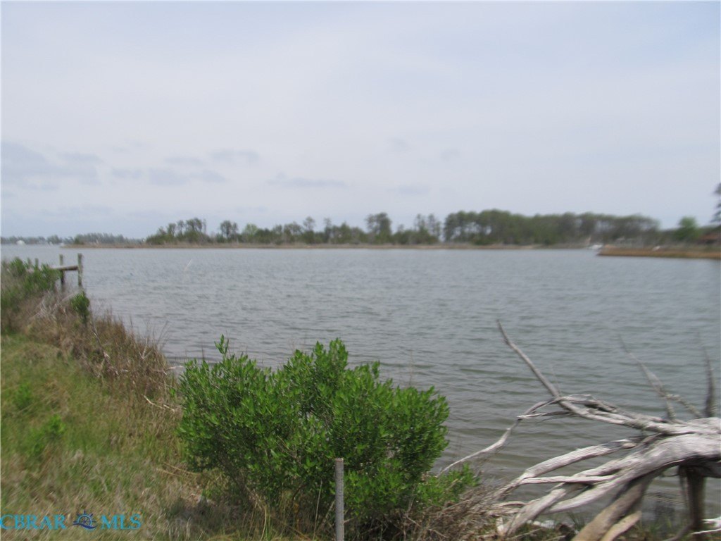Picture 5