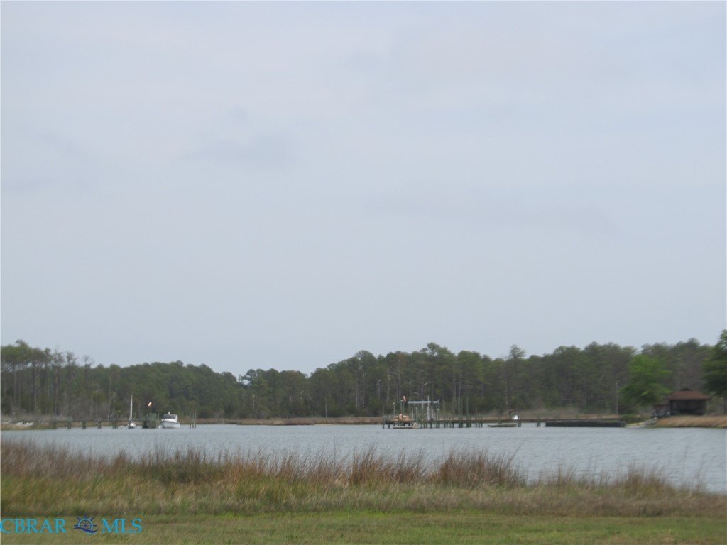 Picture 24