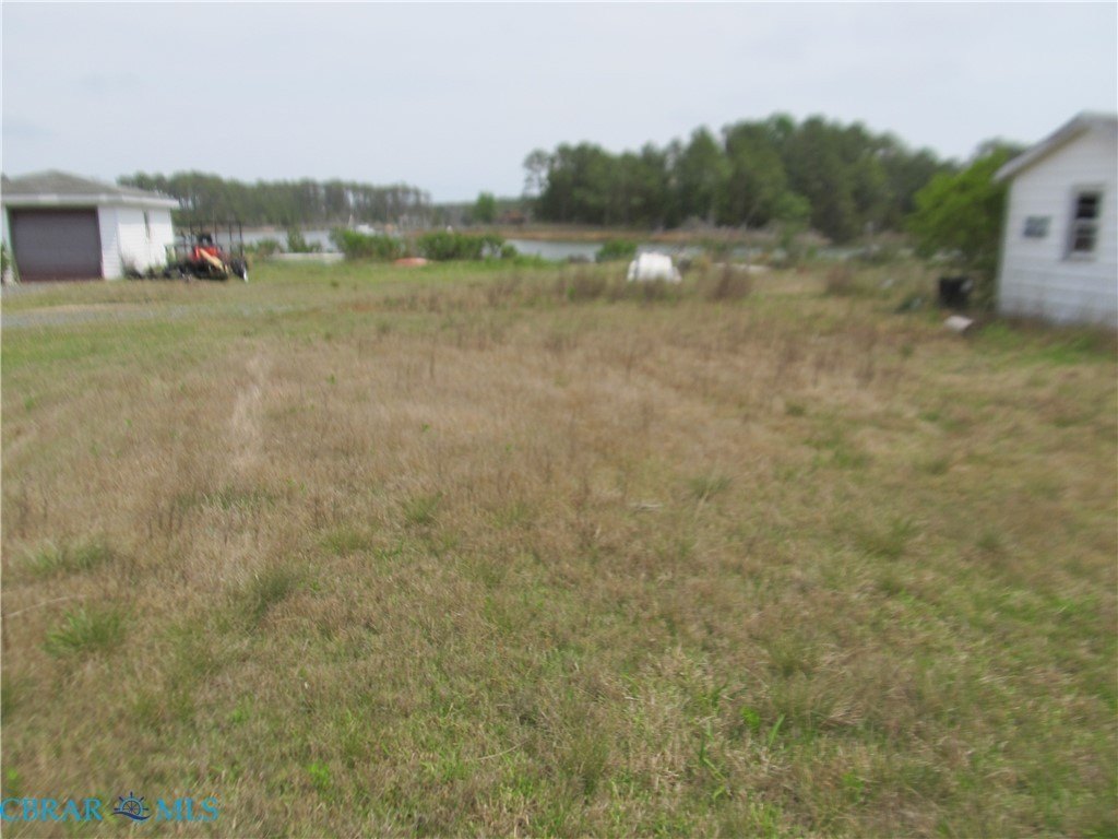Picture 16