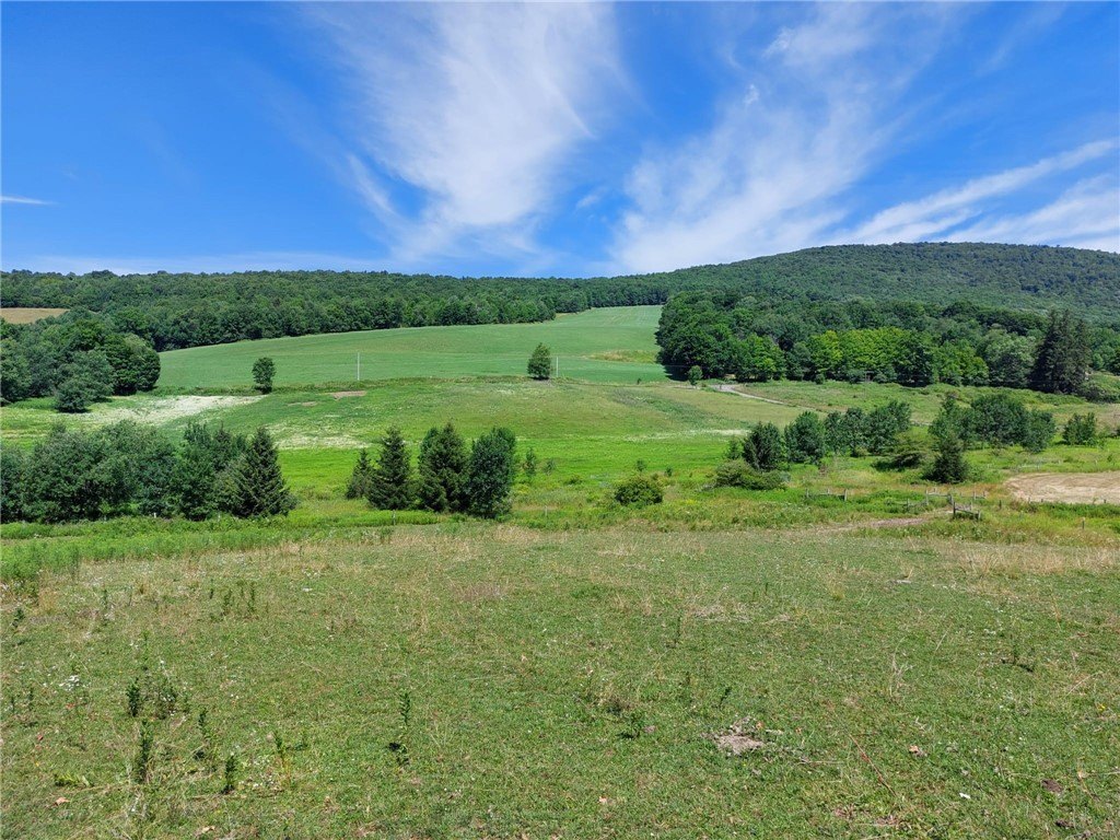 Historic Farmhouse on Expansive Acreage