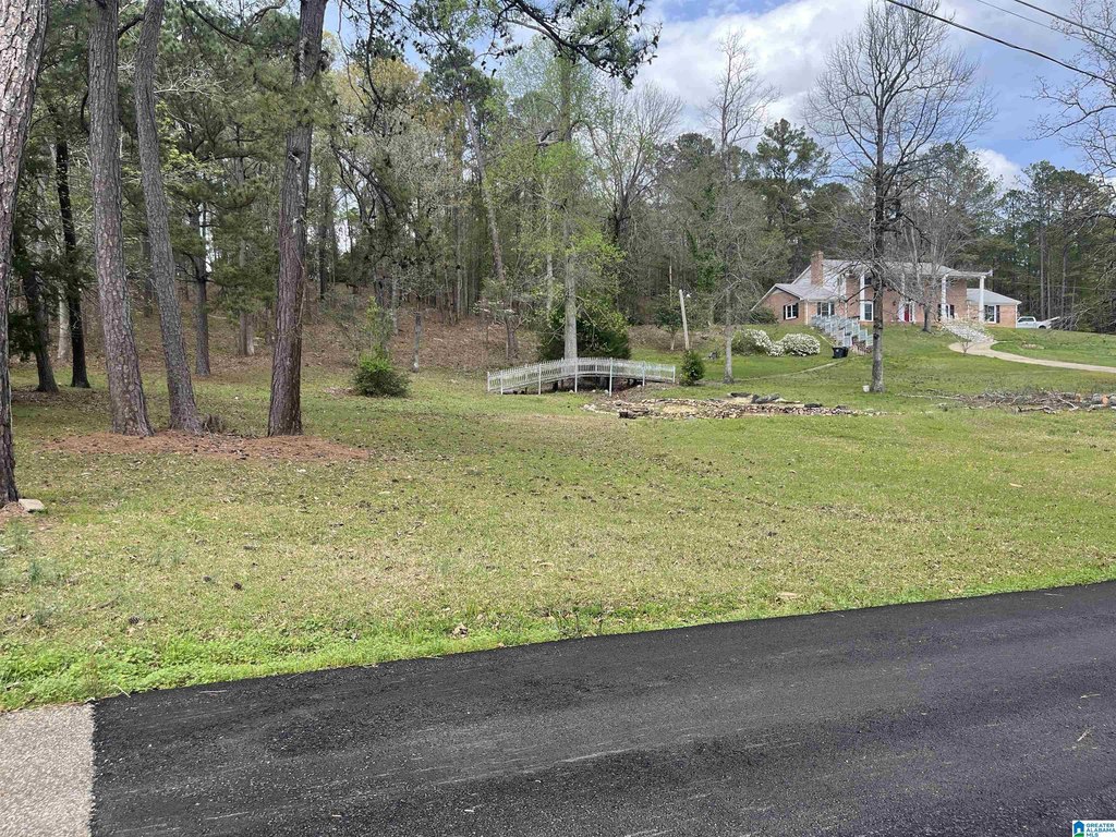 Picture 7