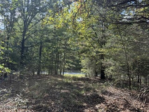 Land, Byhalia, MS