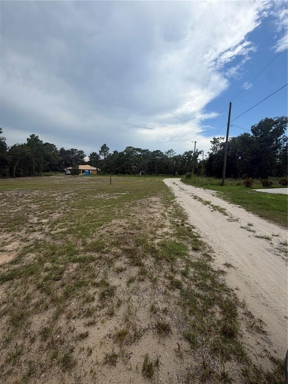 Picture 6
