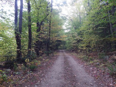 Woodland Acreage in Brownfield, Maine