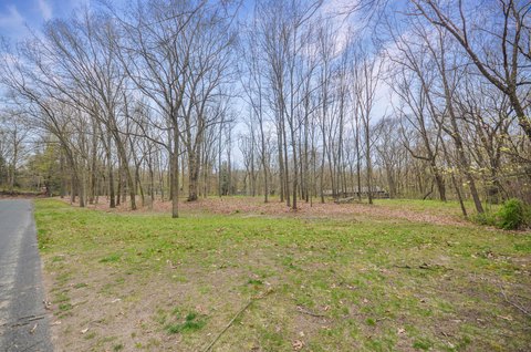 Wooded Land Parcel in Kalamazoo
