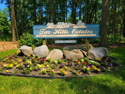 Residential Land in Alamo Township