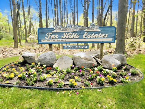 Residential Land in Alamo Township