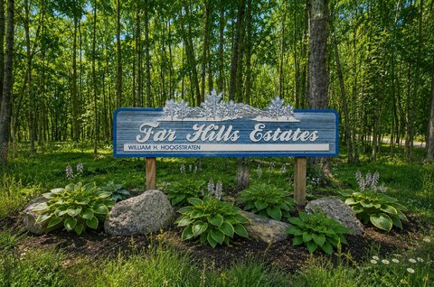 Residential Land in Alamo Township