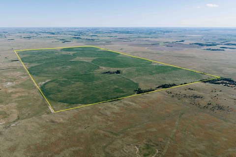 Irrigated Ranch with Pivot Systems