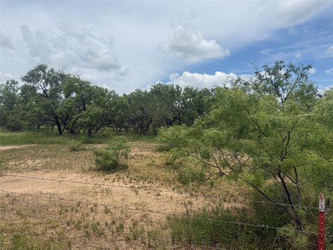 LAND - Other - Brownwood, TX