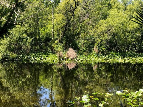 Waterfront Land Parcel