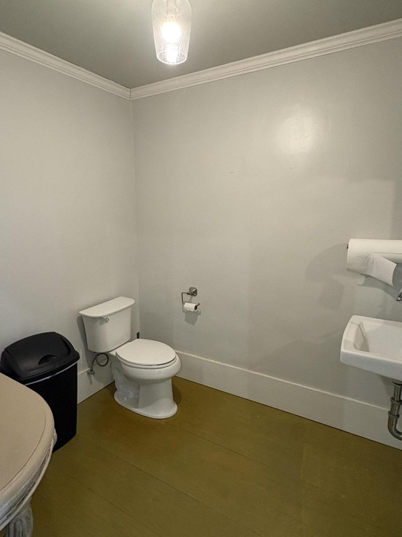 Picture 13