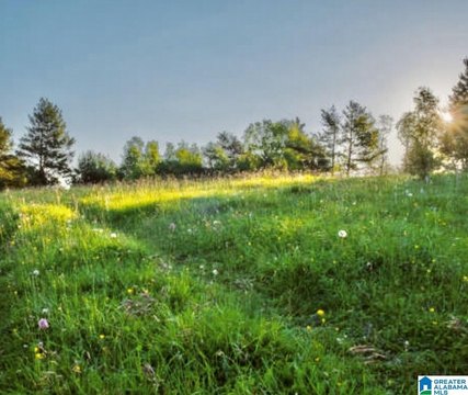 Commercial Land With Road Frontage