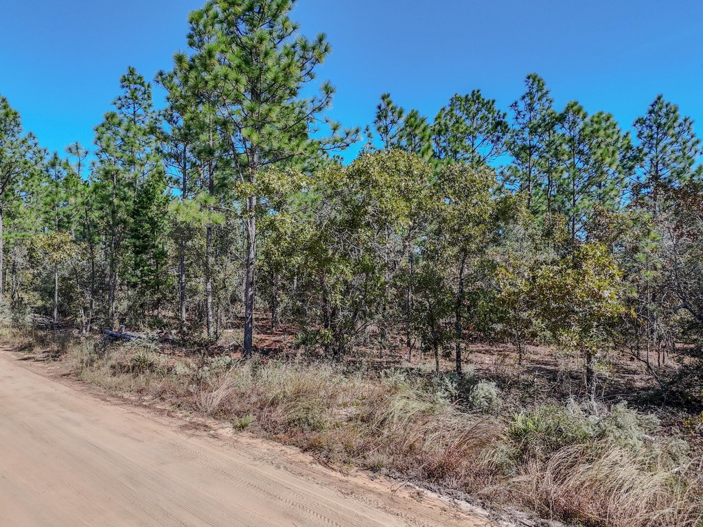 Picture 8