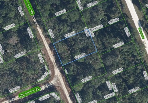 Residential Lot Near Placid Lake