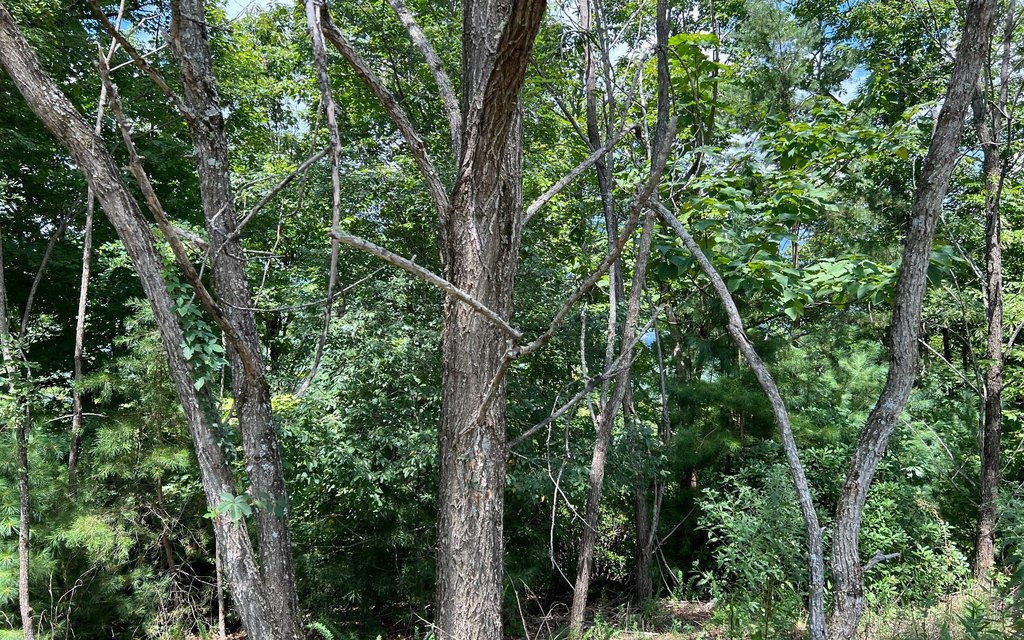 Picture 14