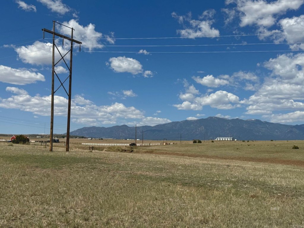 Picture 19