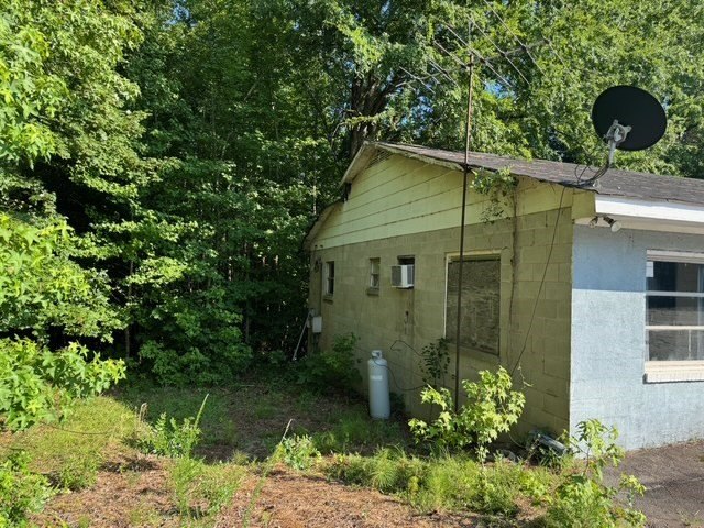 Picture 11
