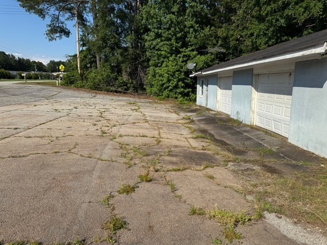 Picture 8