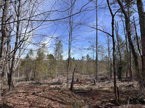 Richmond, NH Residential Building Lot