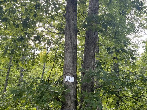 Land, Somerset, KY