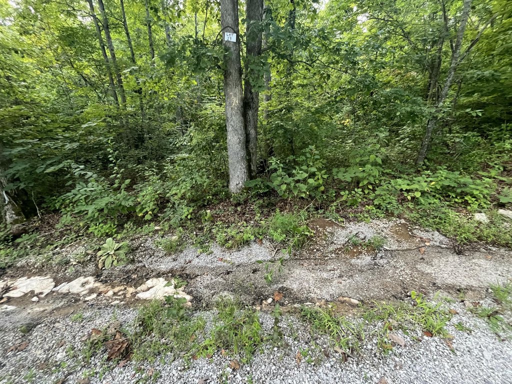 Picture 2