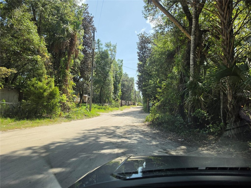 Picture 3