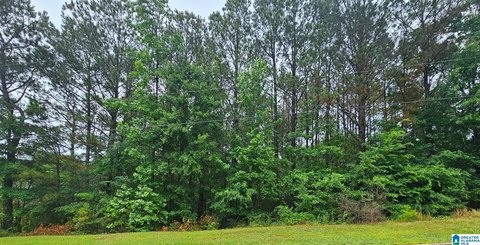 Residential Lot in Hickory Ridge