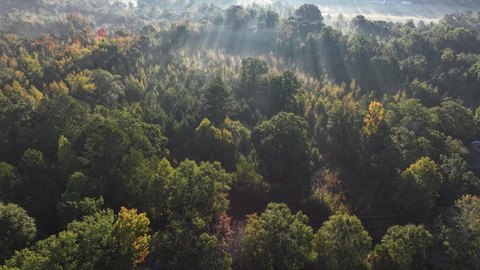 Land, Belton, SC