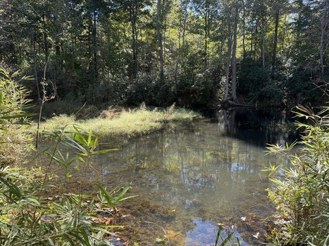 Land, Belton, SC