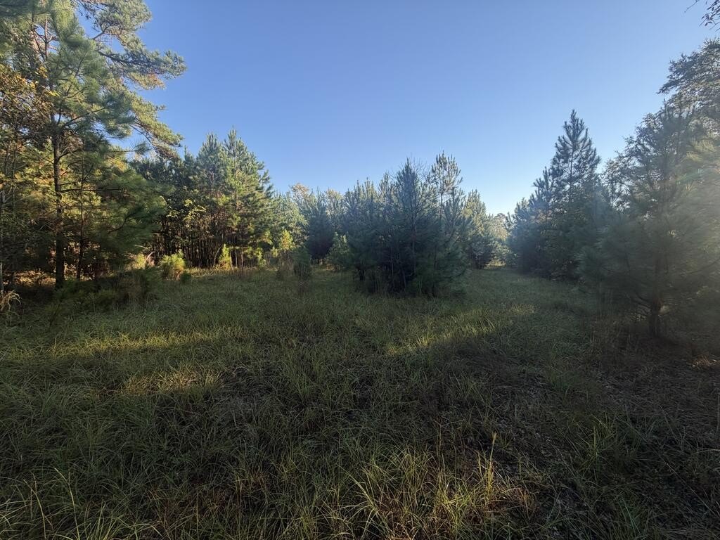 Picture 14