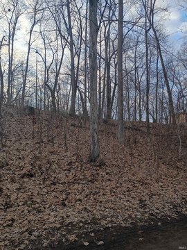 Vacant Residential Lakefront Lot