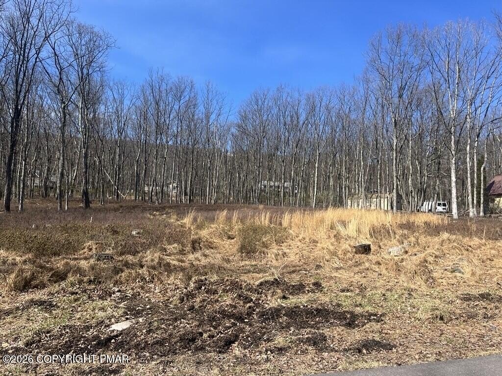 Pocono Mountain Building Lot