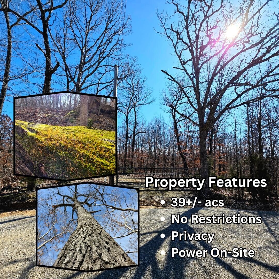 Raw Land in Fordland, MO