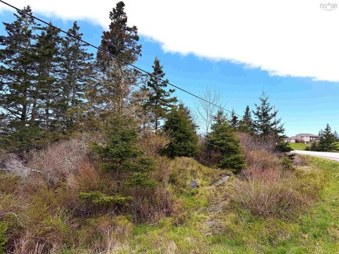 Dayton, NS