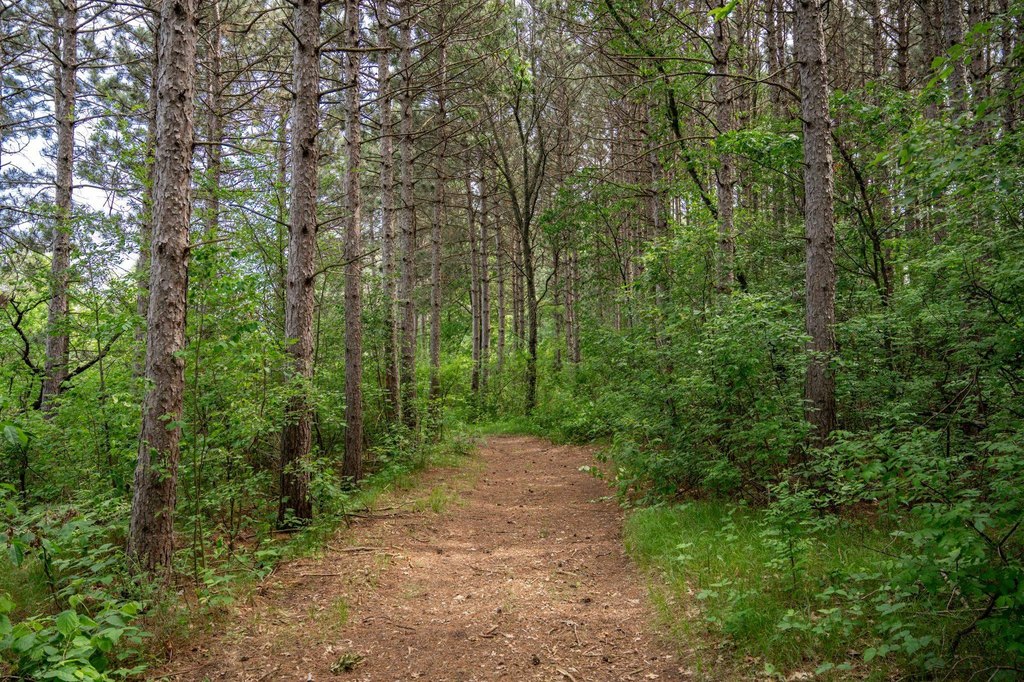 Picture 19