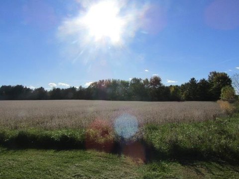 10.9-Acre Farmland
