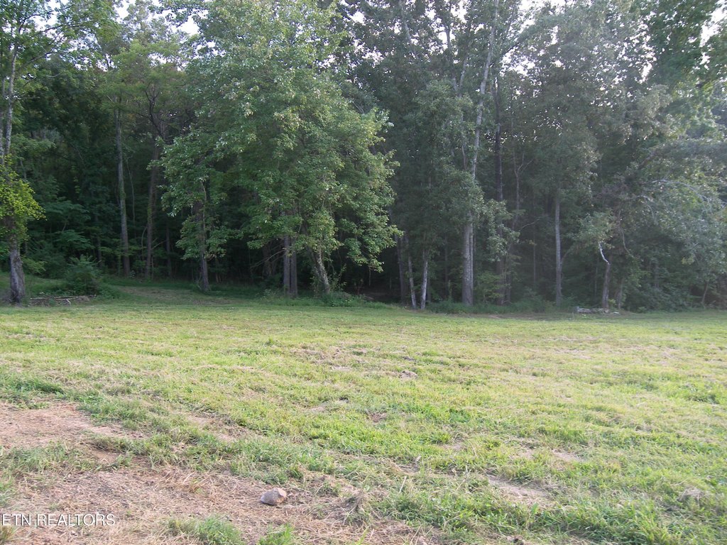 Picture 4