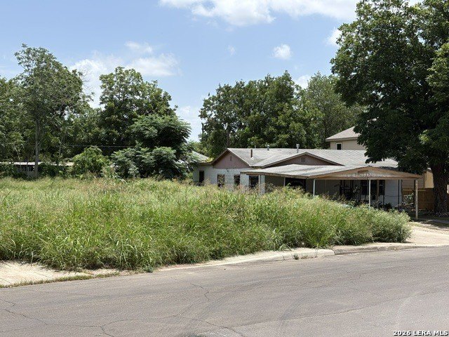 Picture 3