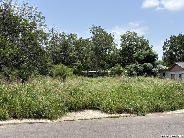 Picture 2