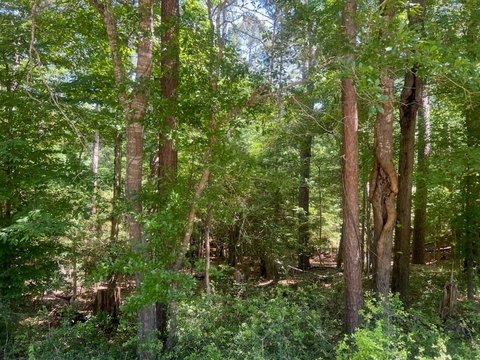 Etoile, TX Wooded Lot